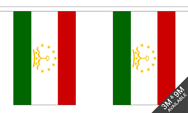 Tajikistan Bunting